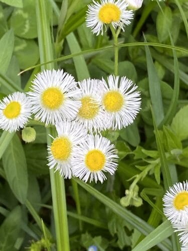 今日は何の日？7月1日は「国民安全の日」って知ってました？